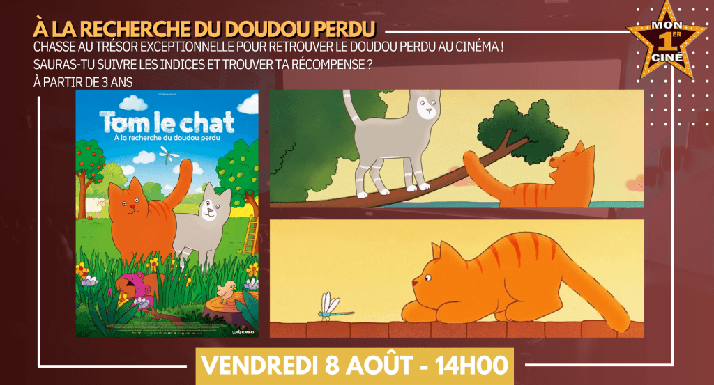 actualité TOM LE CHAT
