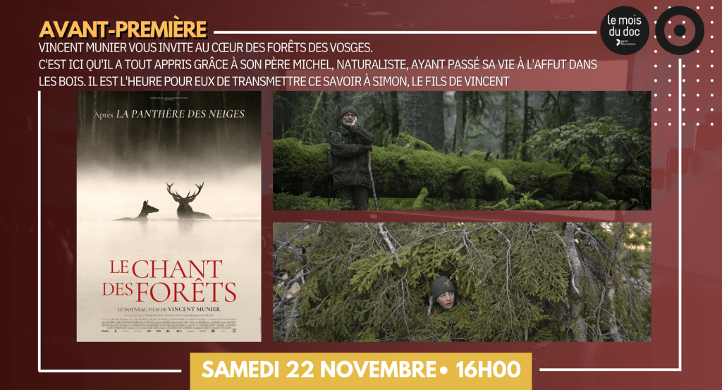 actualité CHANT DES FORETS