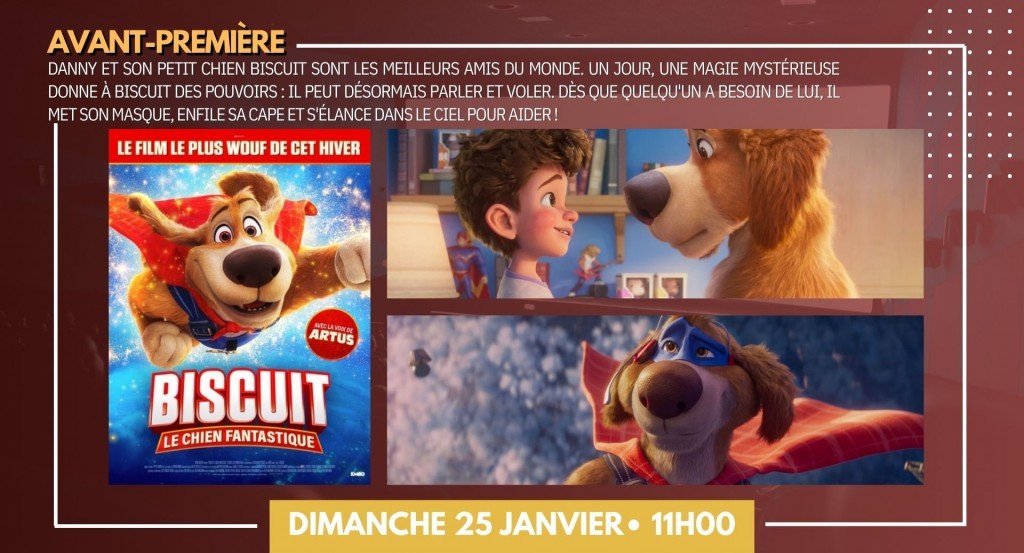 actualité AVP BISCUIT