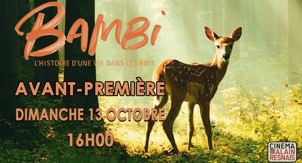 actualité BAMBI