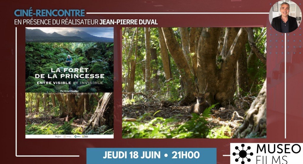 actualité jean pierre duval