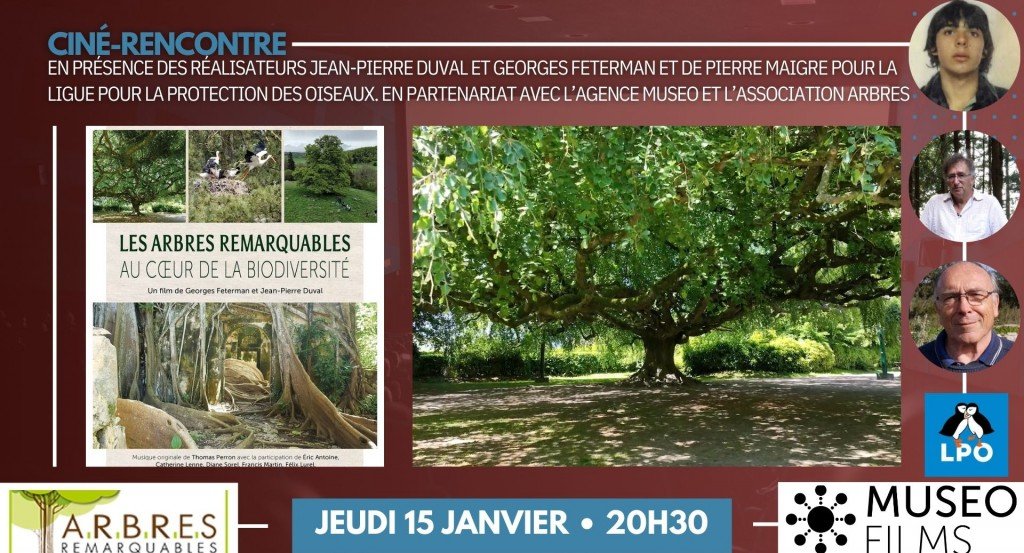 actualité ARBRES REMARQUABLES